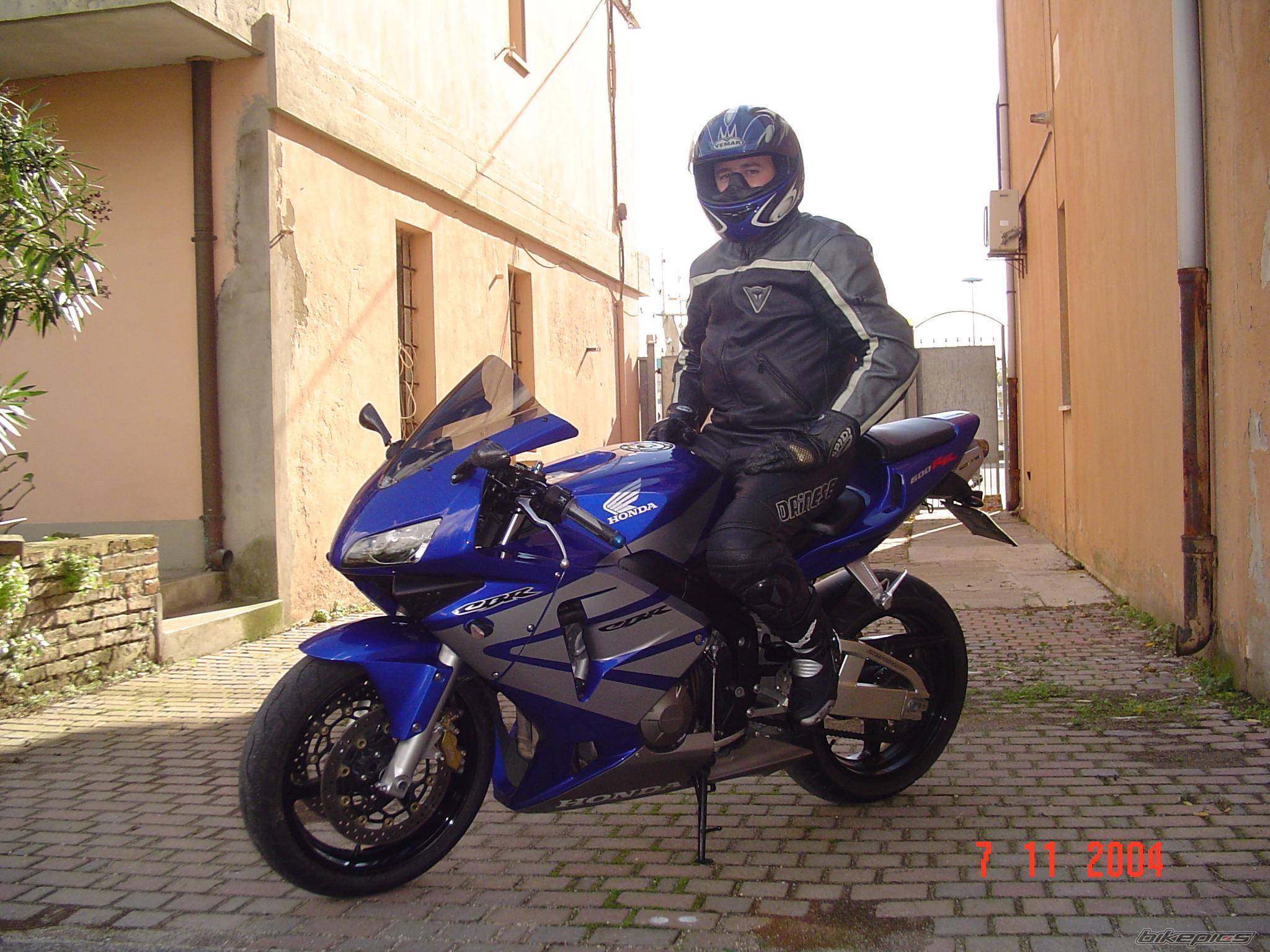 Photo 245759
