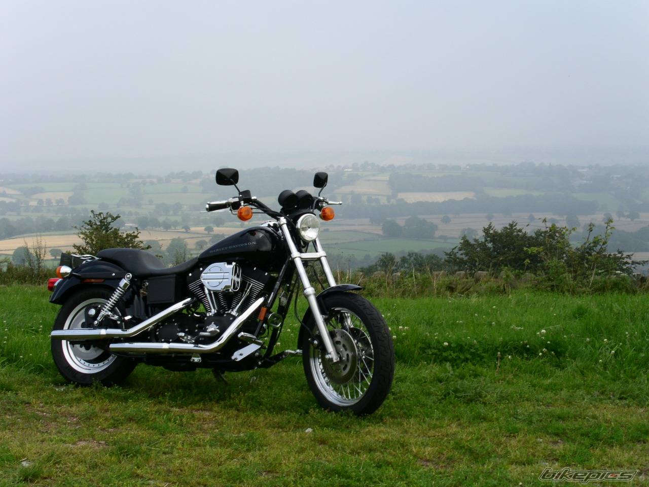 Photo 245762