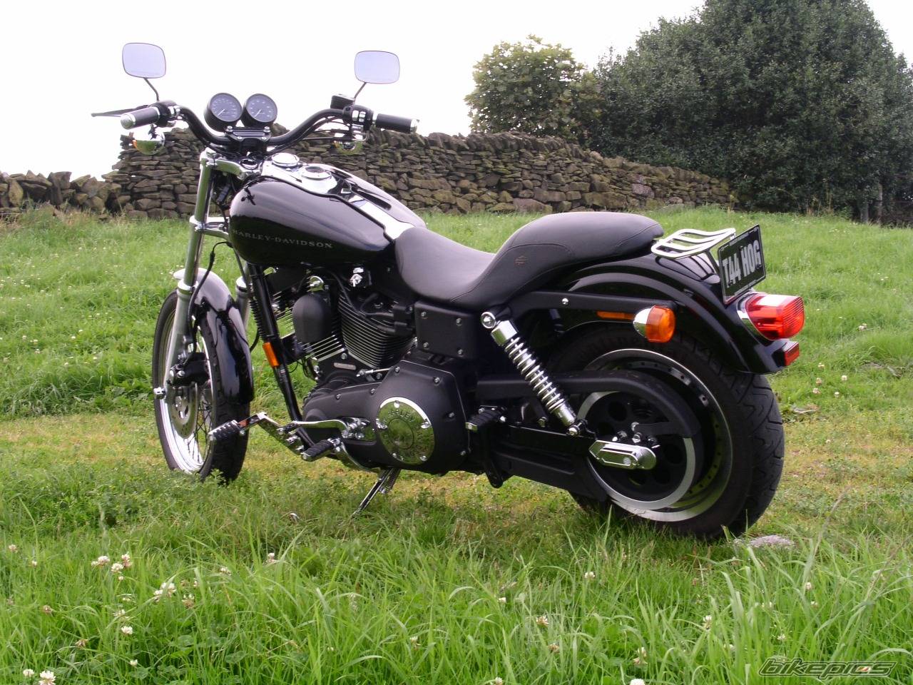 Photo 245763
