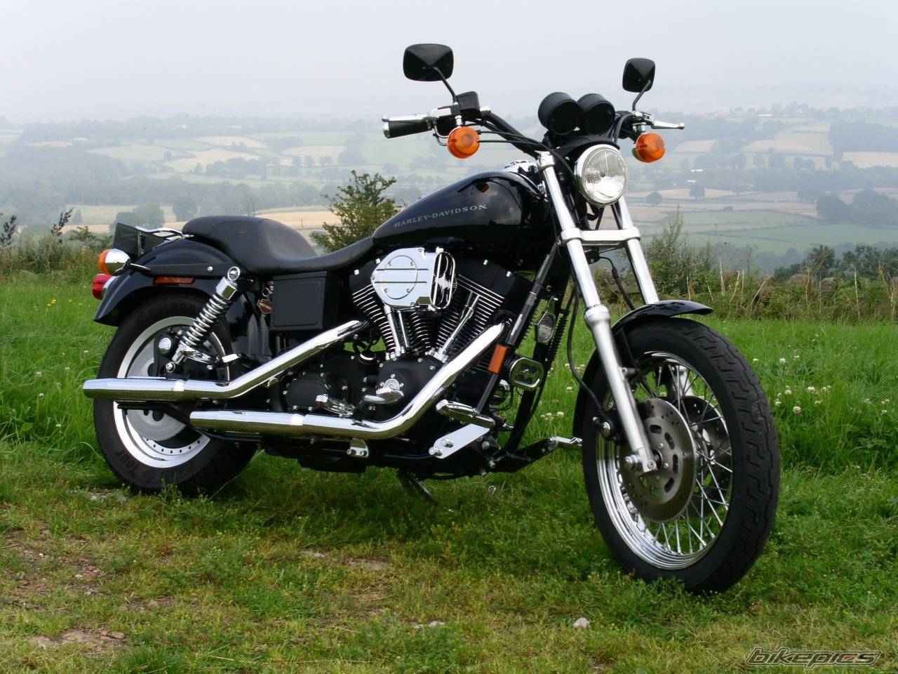 Photo 245765