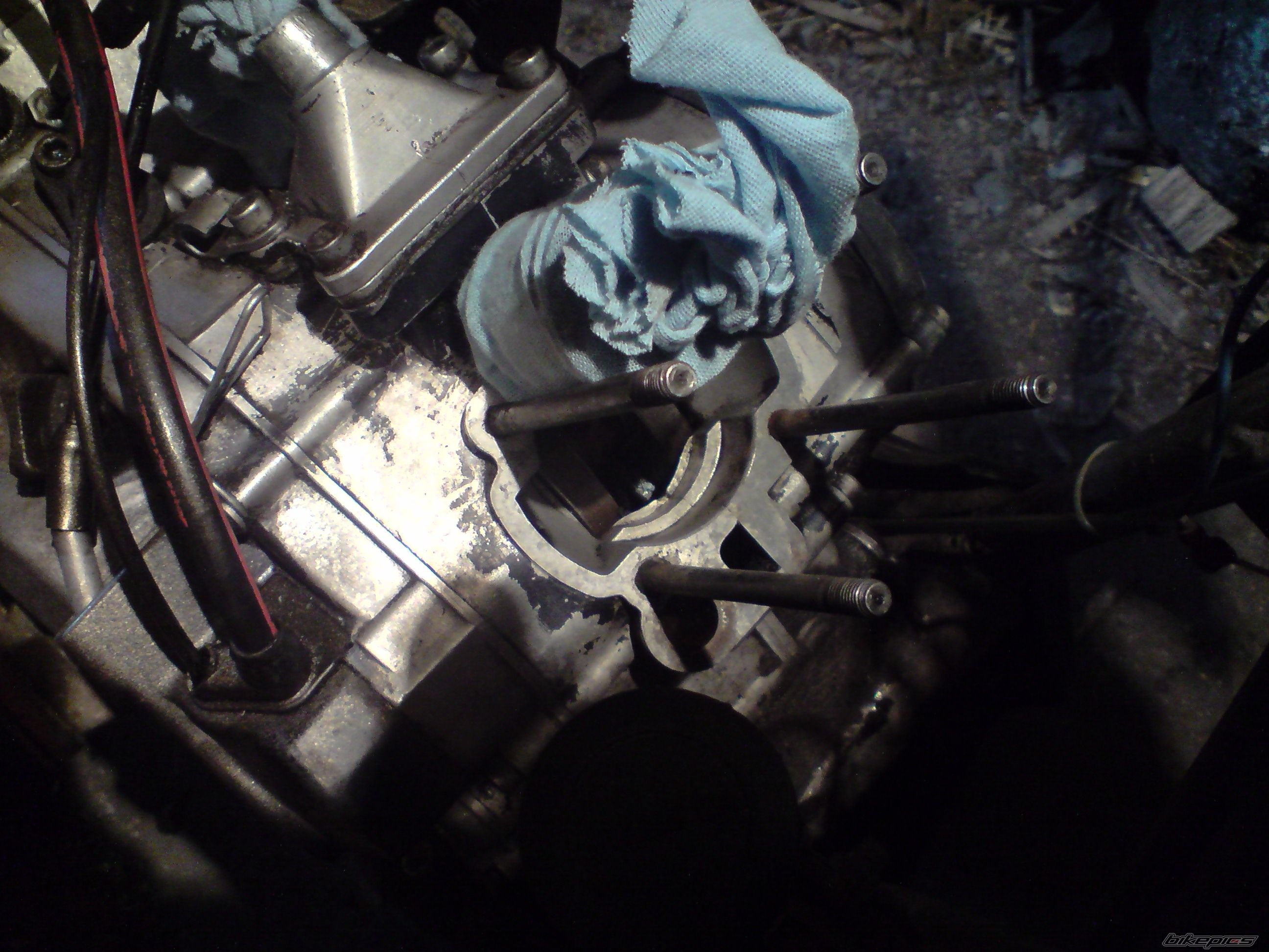 Photo 2457666