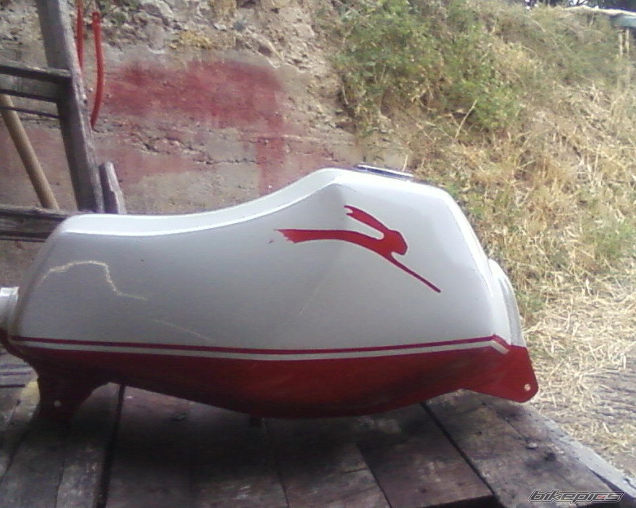 Photo 2457674
