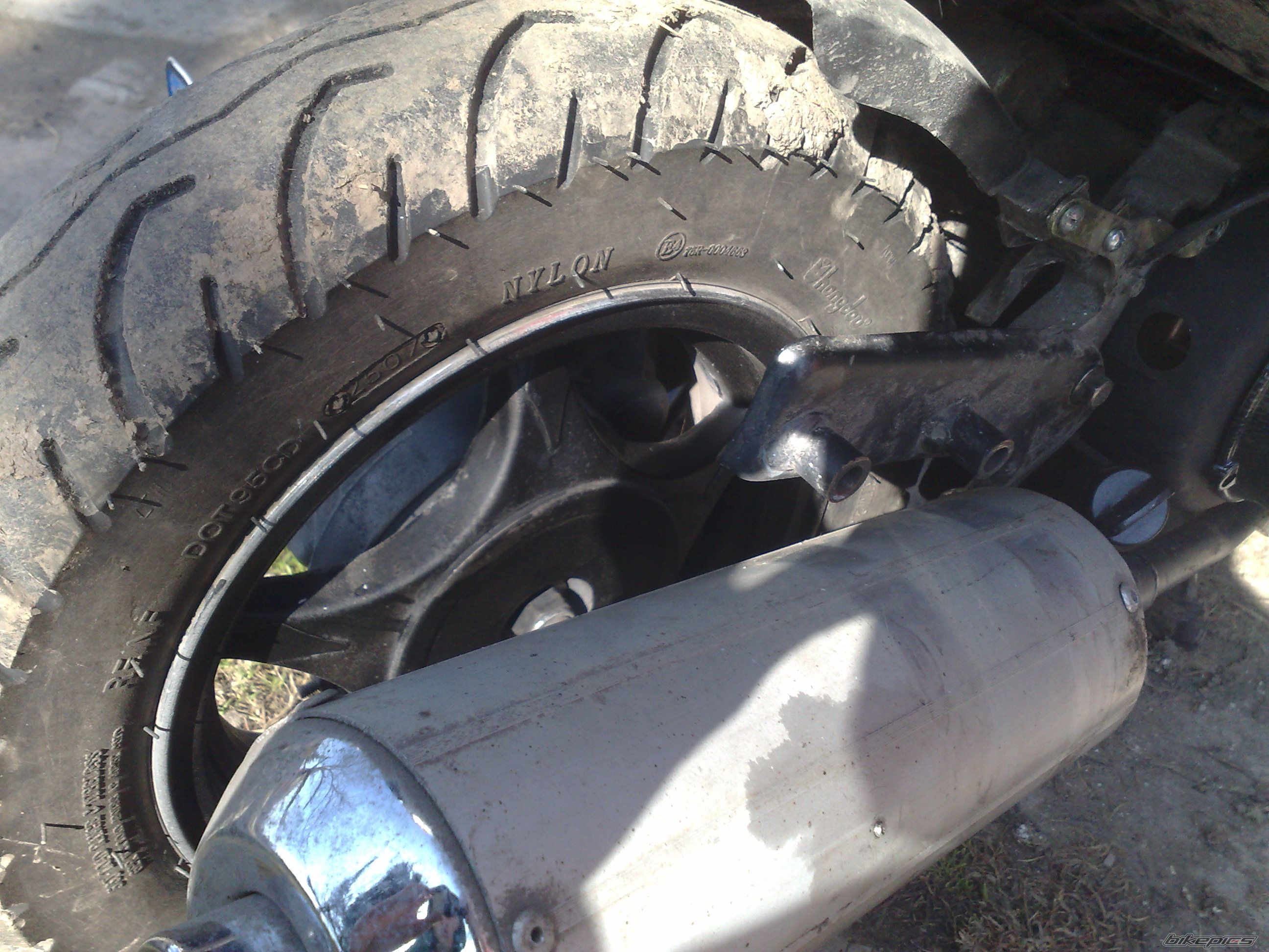 Photo 2457687