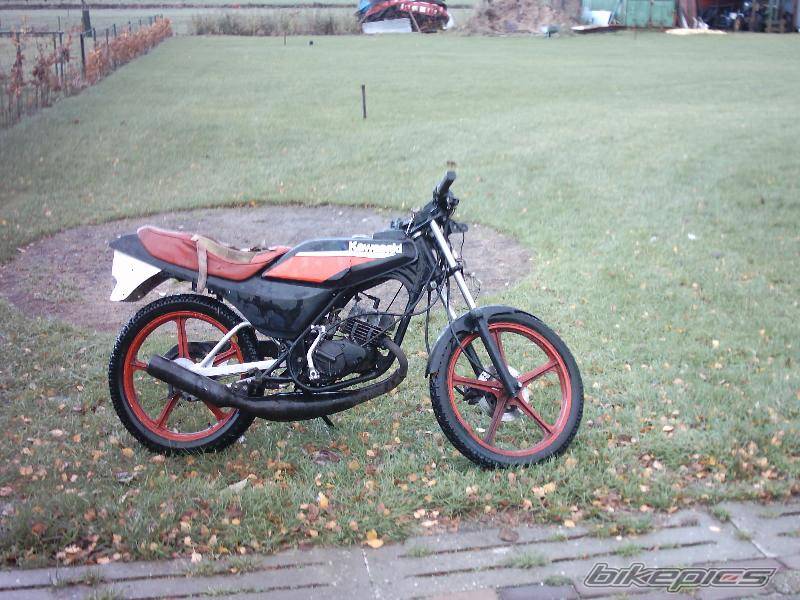 Photo 245771
