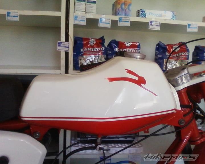 Photo 2457713