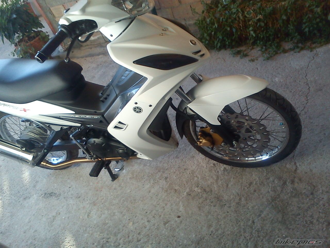Photo 2457834