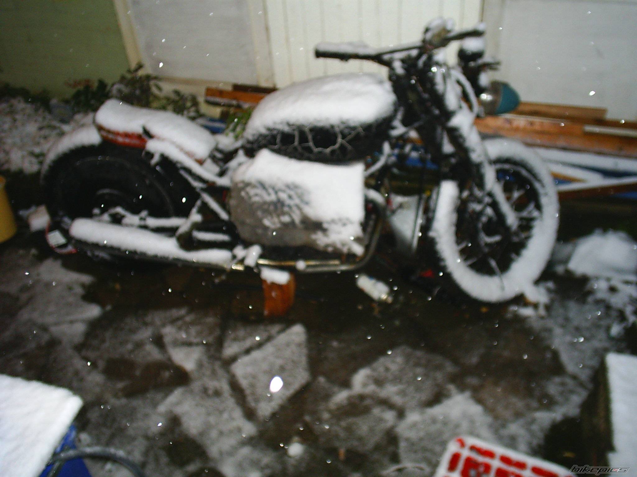 Photo 245786