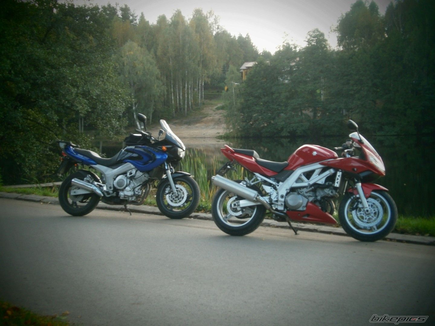 Photo 2457911