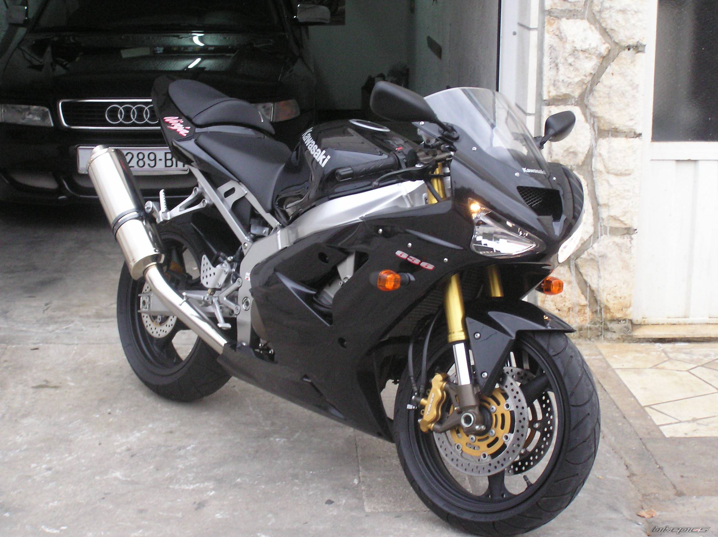 Photo 245796