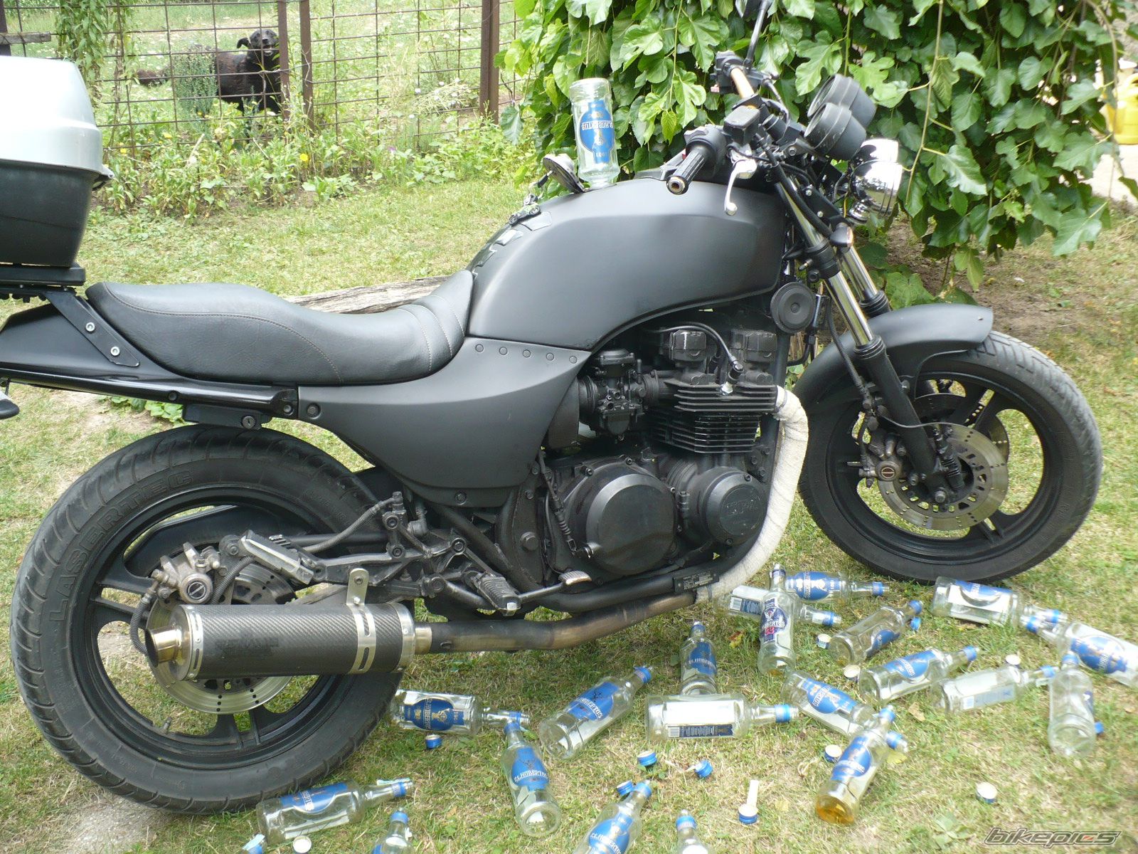 Photo 2457963