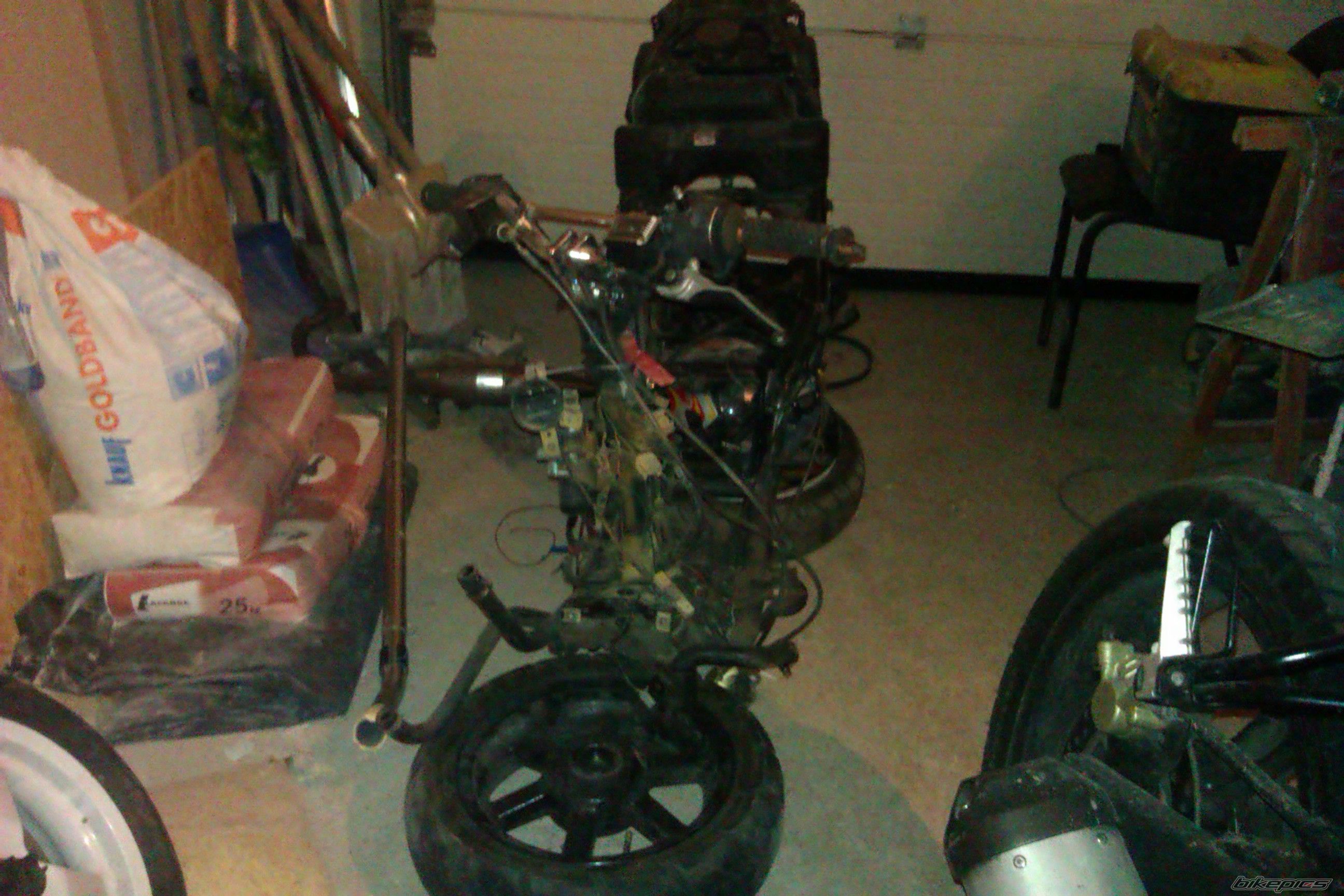 Photo 2458004