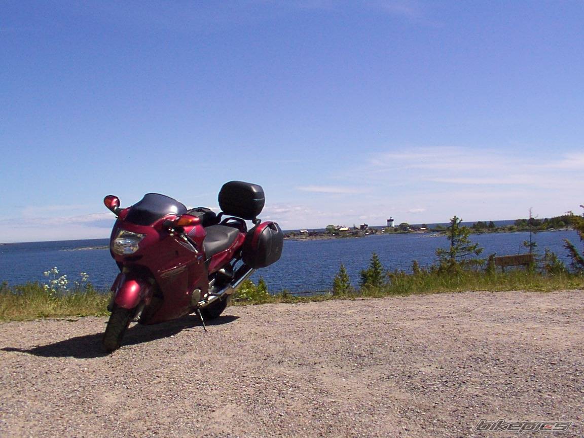 Photo 245805