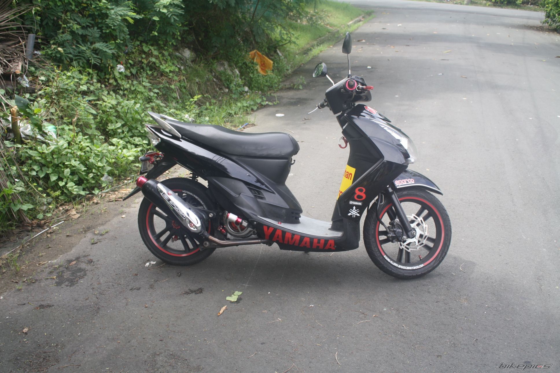Photo 2458088