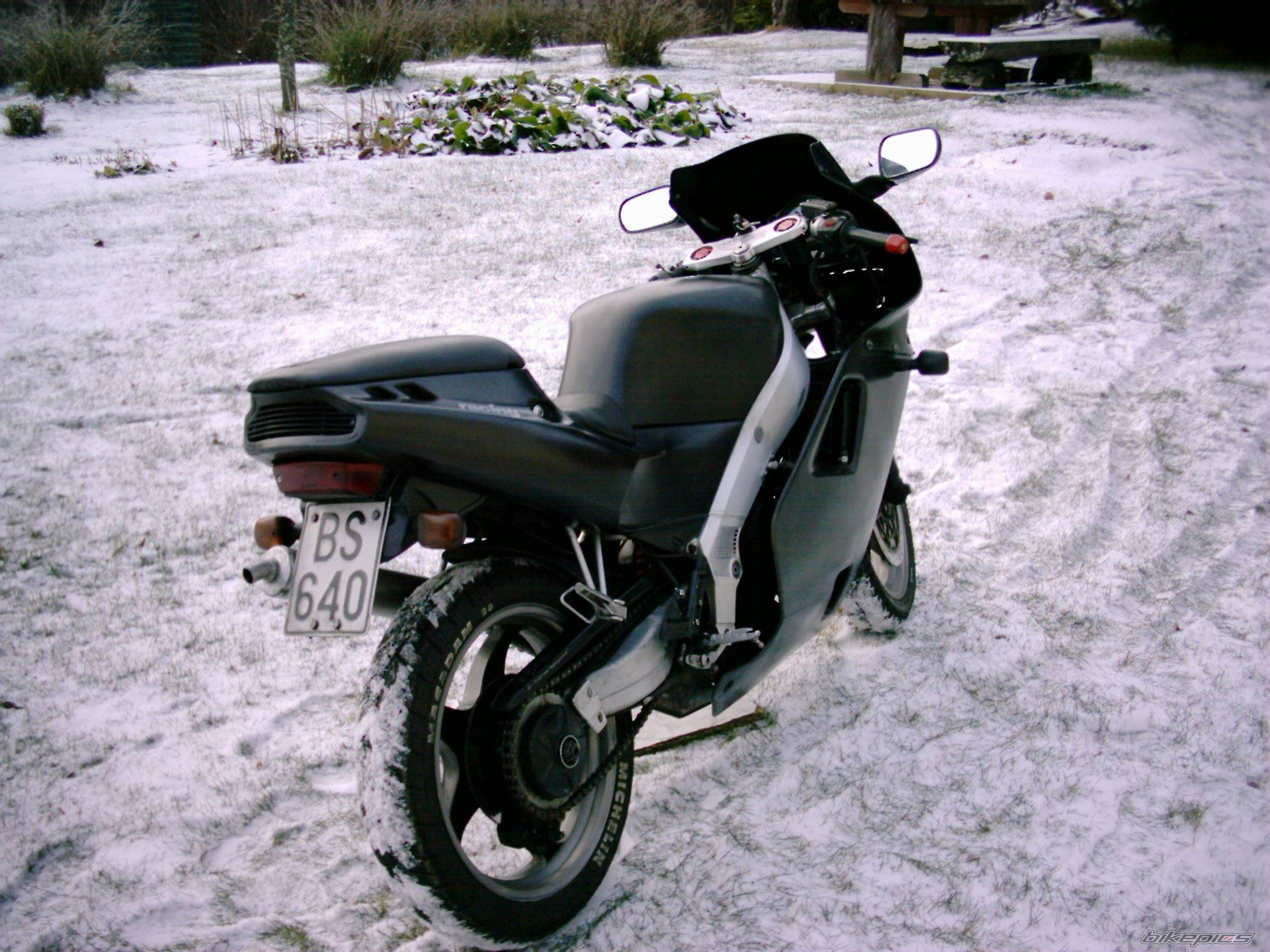 Photo 245810