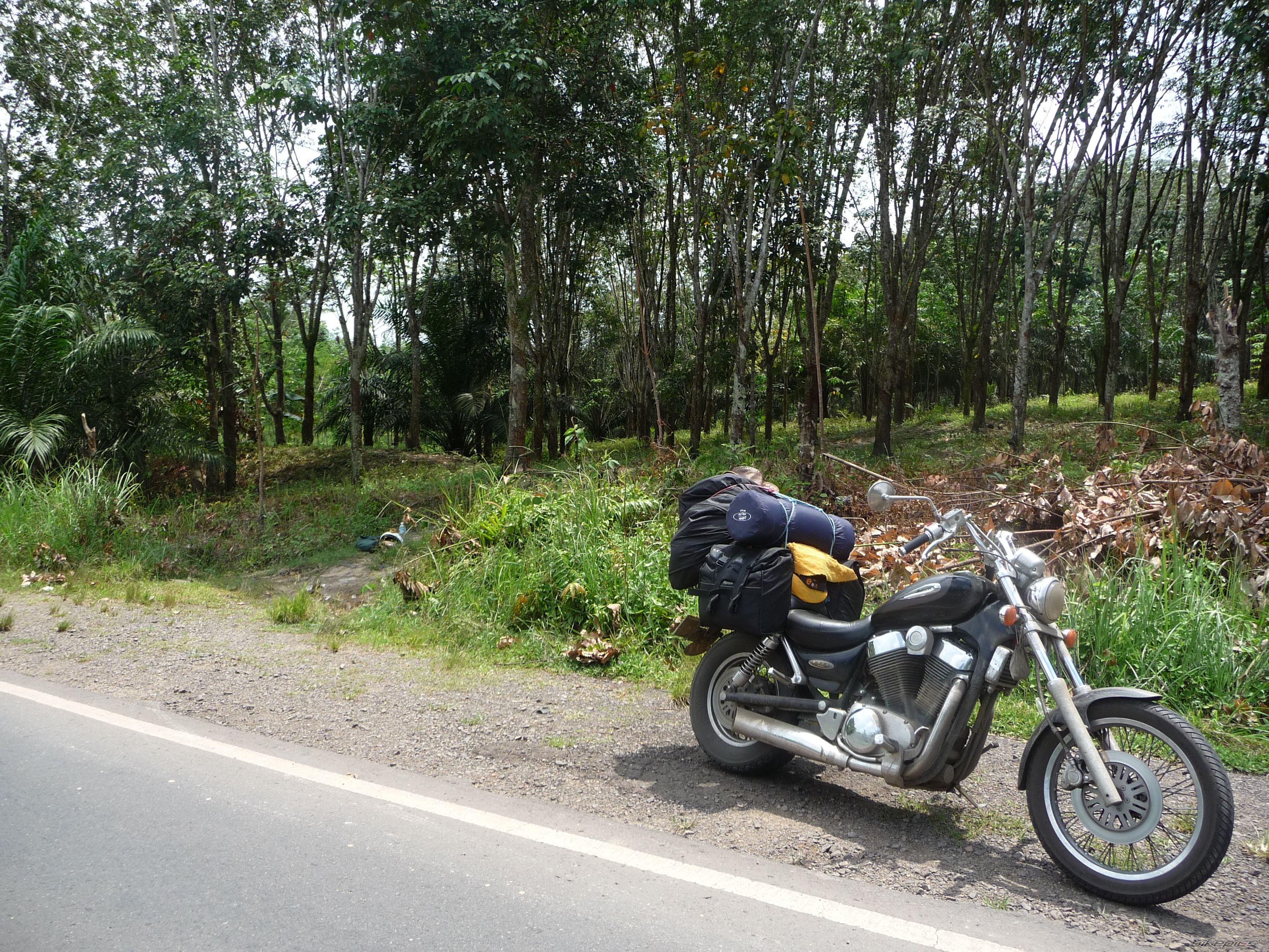 Photo 2458124