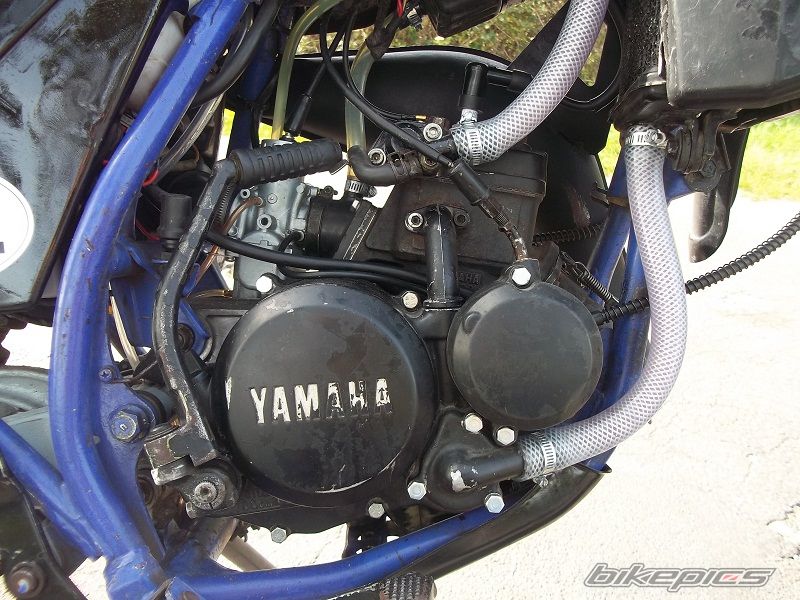 Bike Photo 2458150