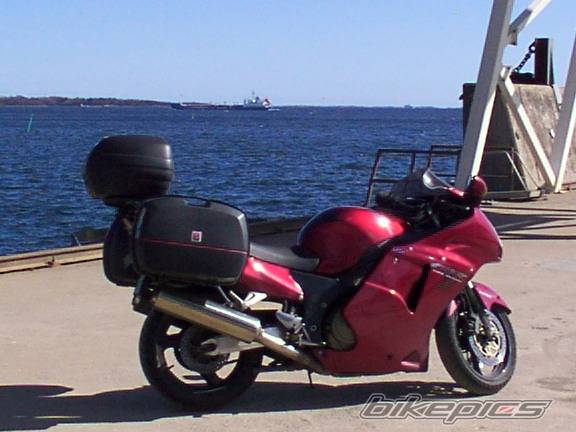 Photo 245816