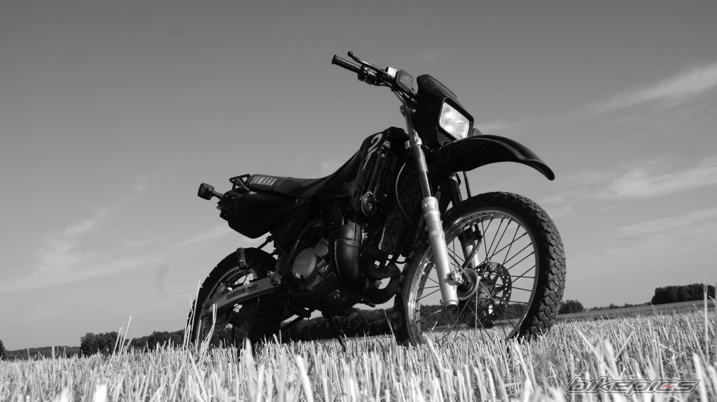 Photo 2458163