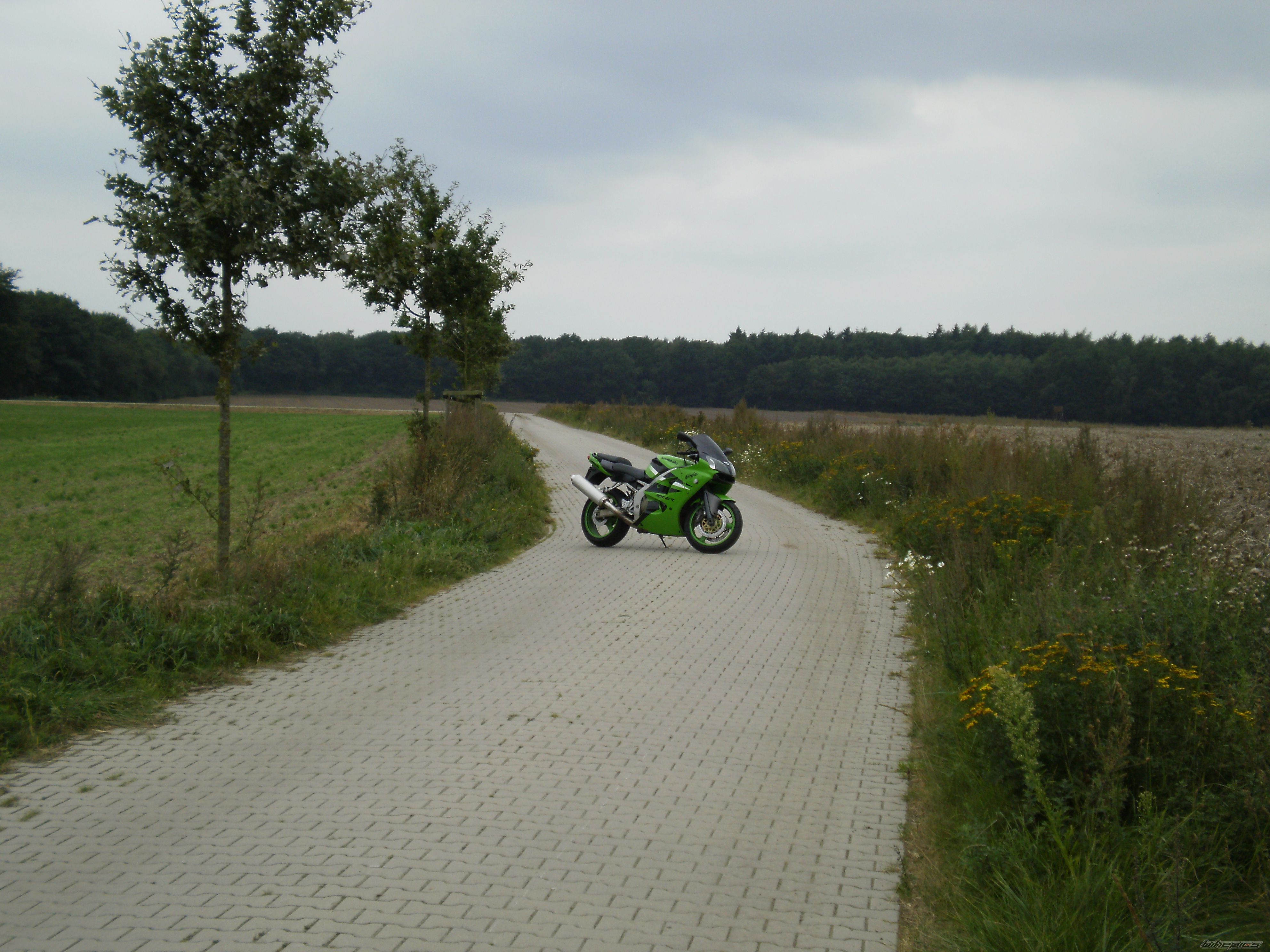 Photo 2458227