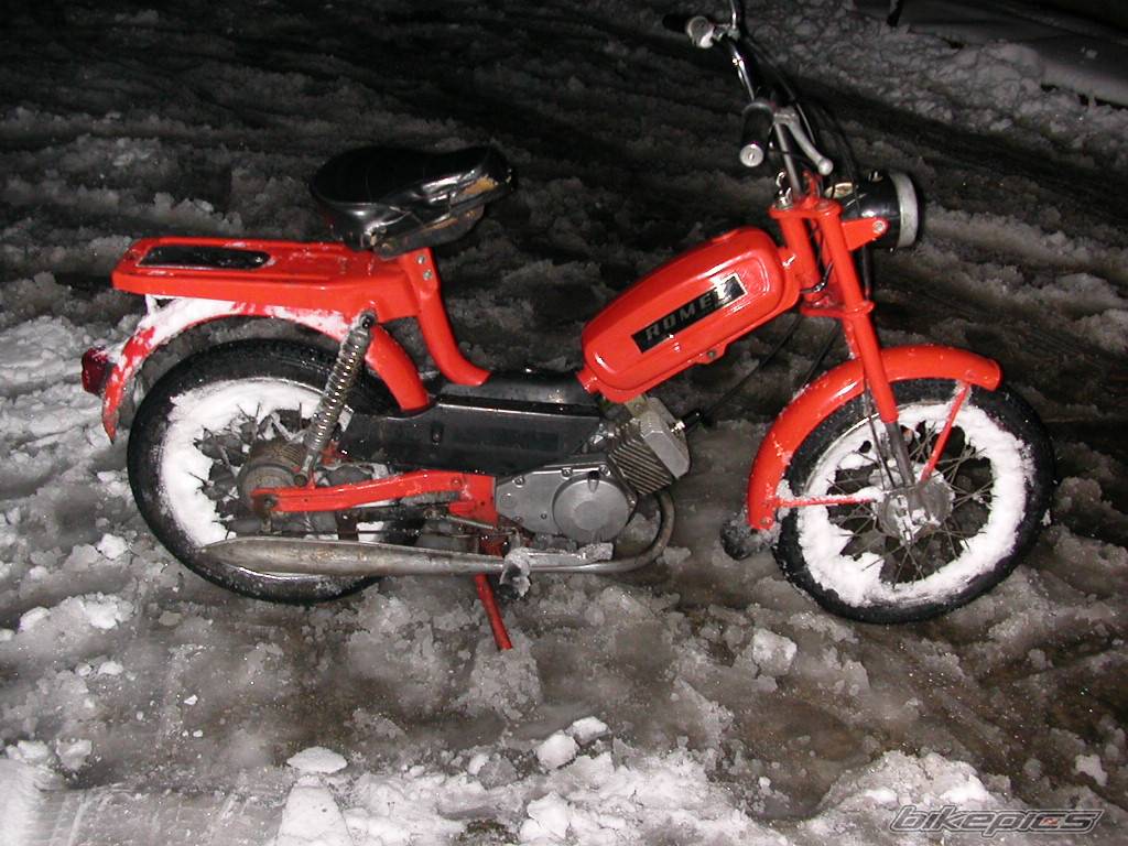 Photo 245828