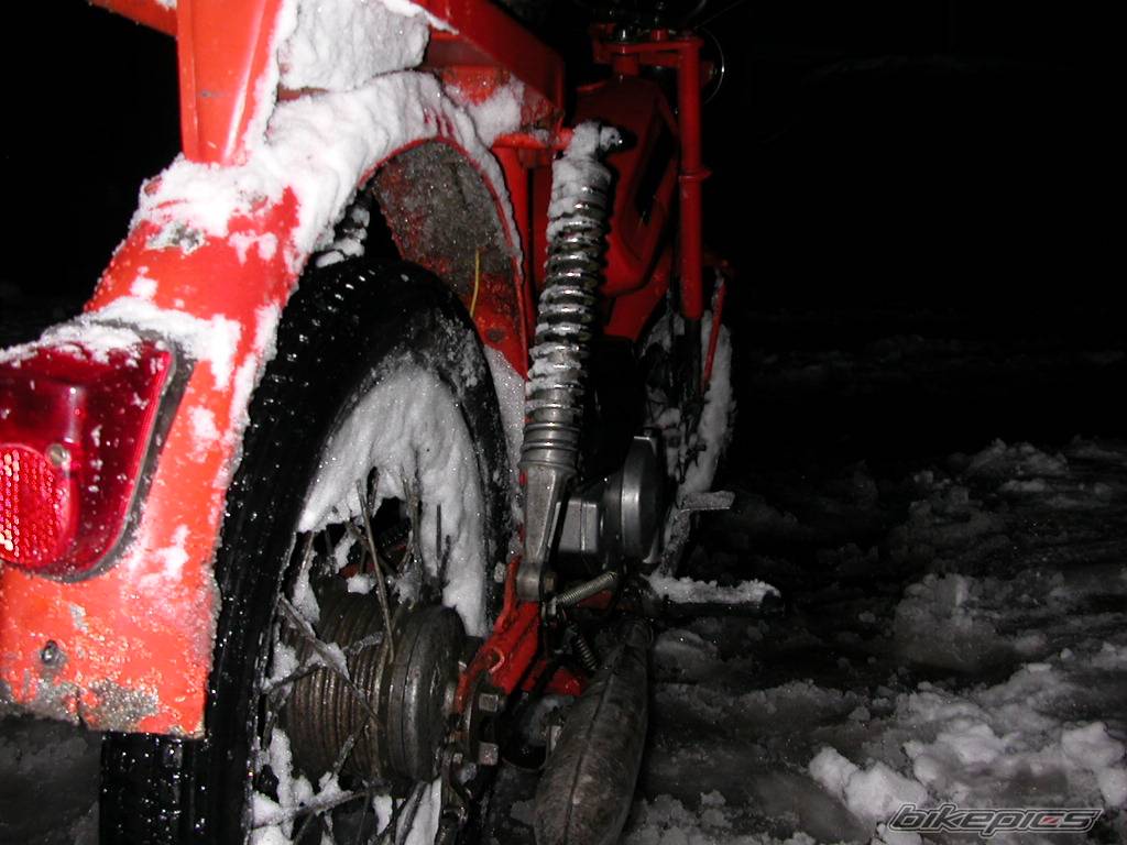 Photo 245829