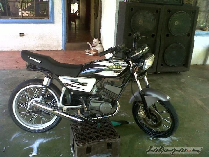 Photo 2458299