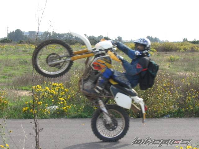 Photo 245832
