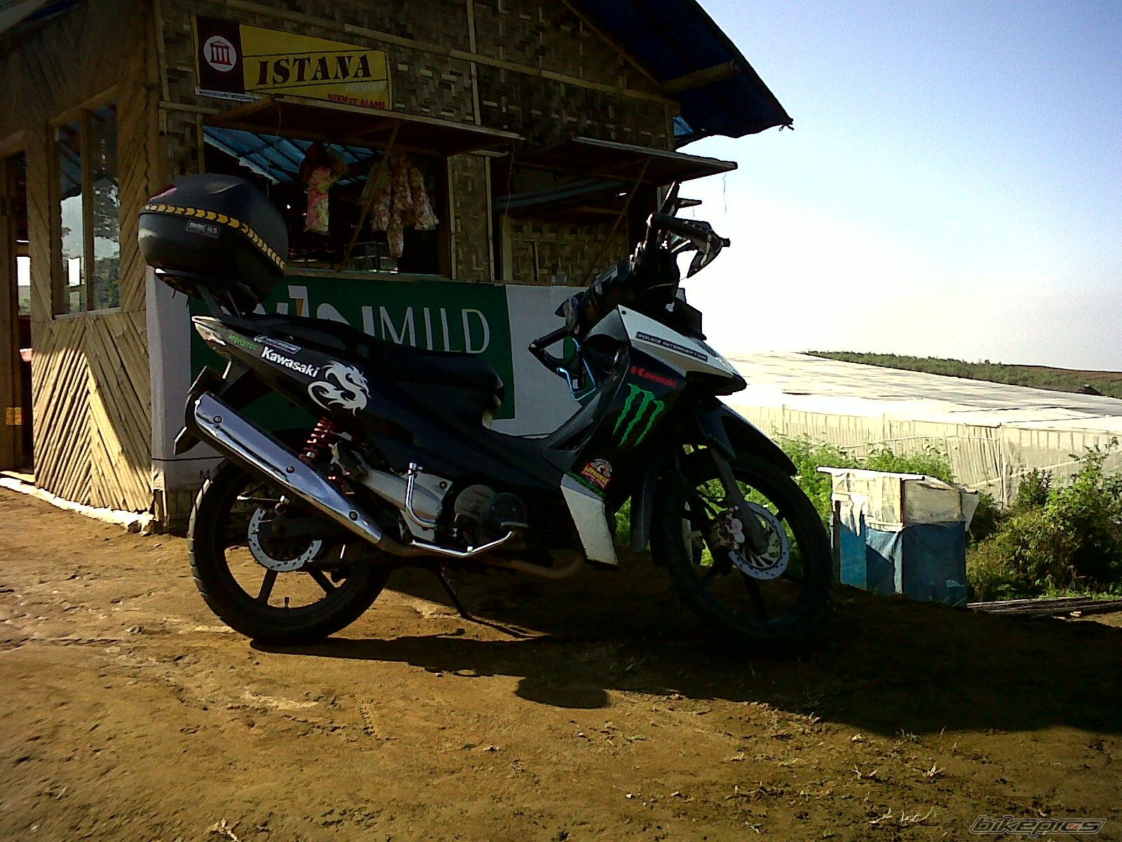 Photo 2458342