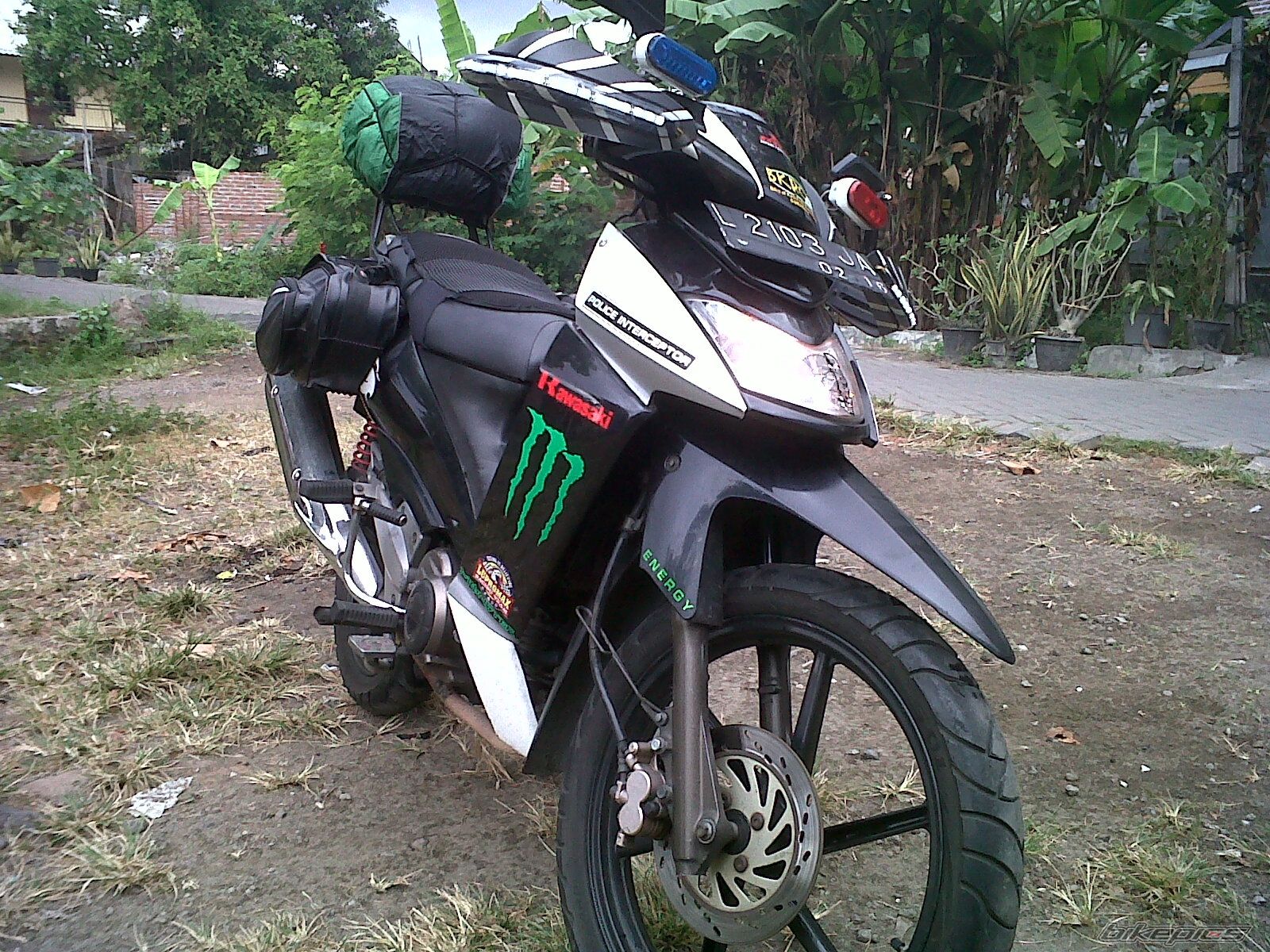 Photo 2458352