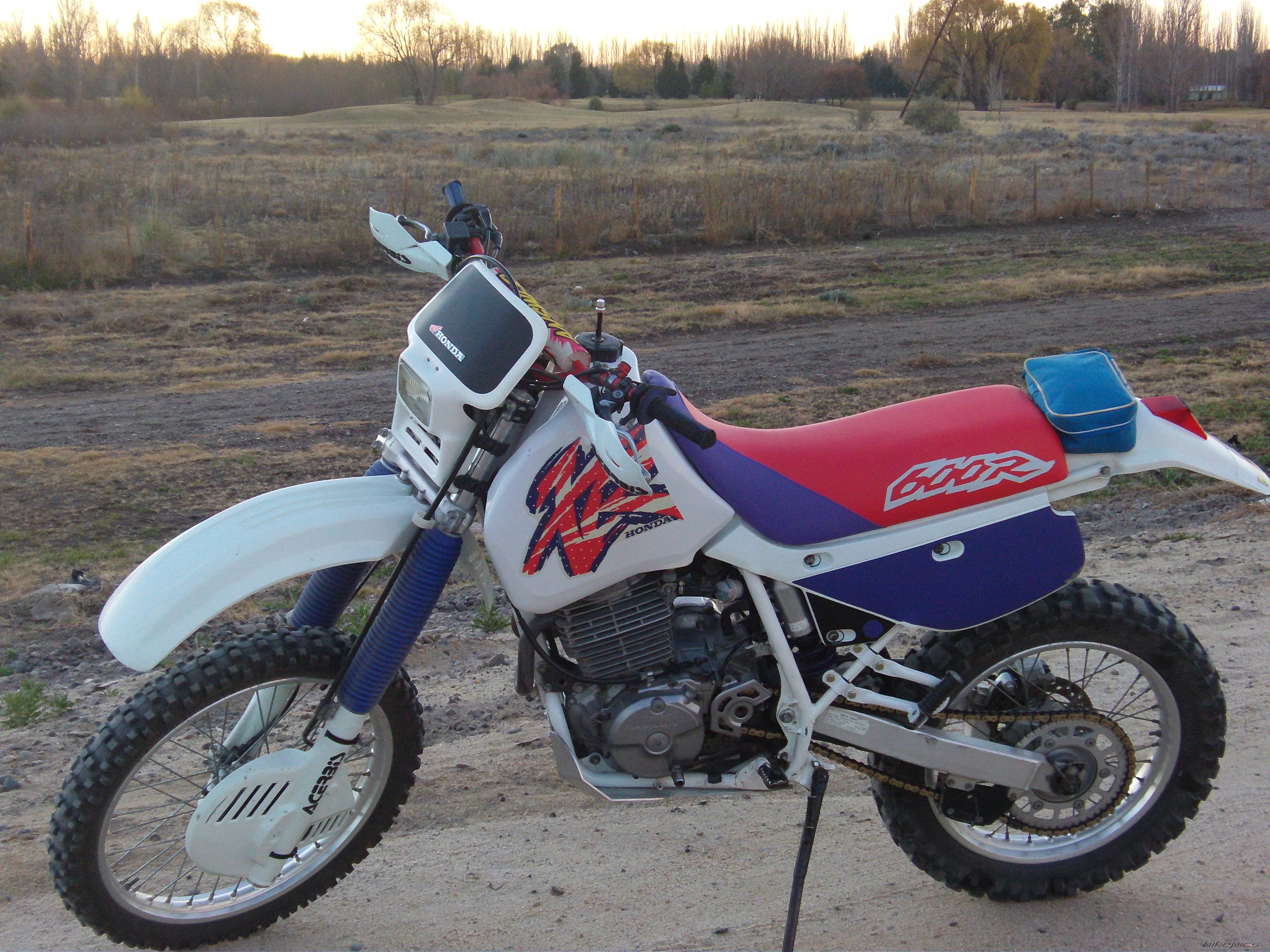 Photo 2458358