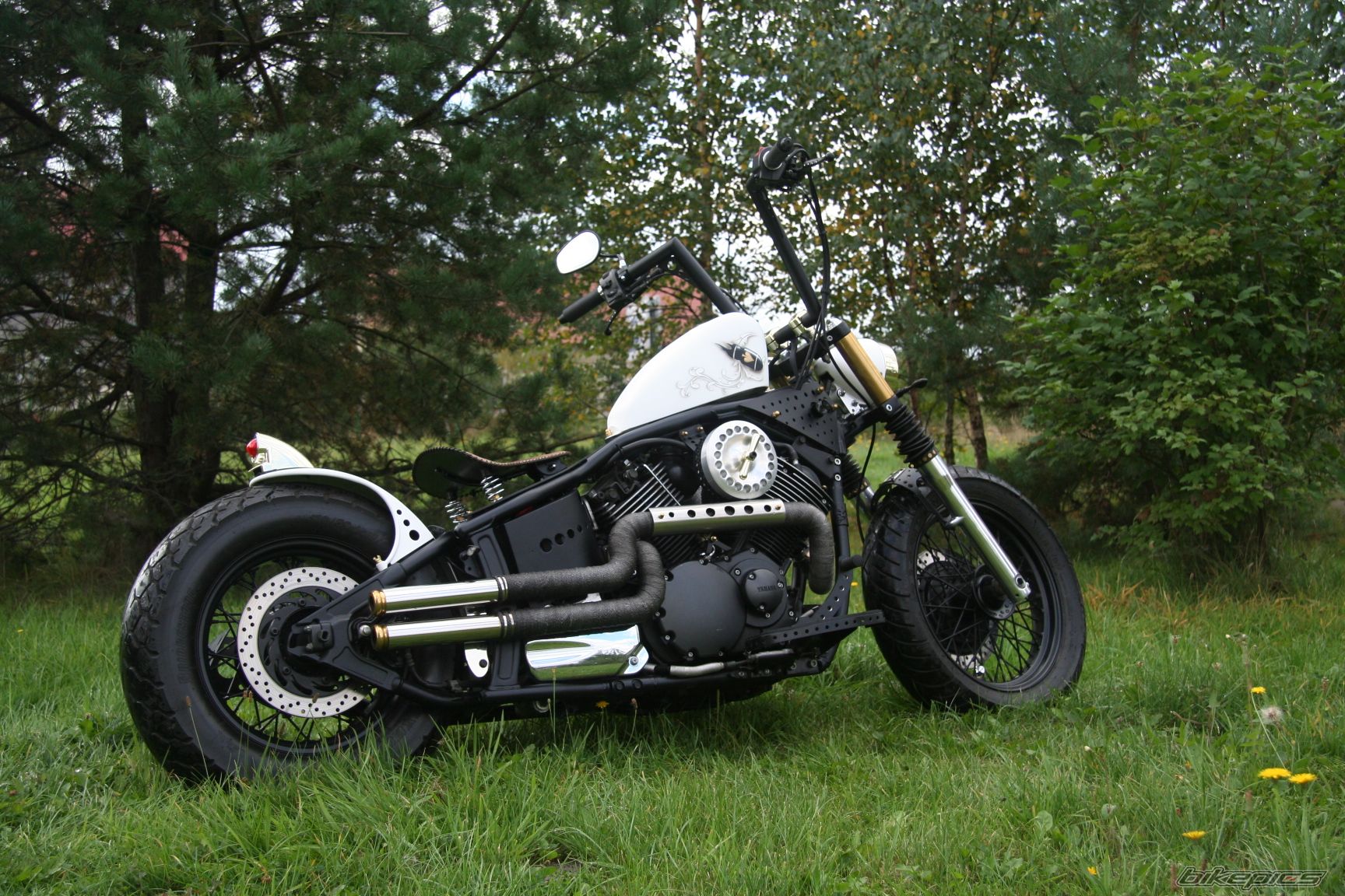 Photo 2458374