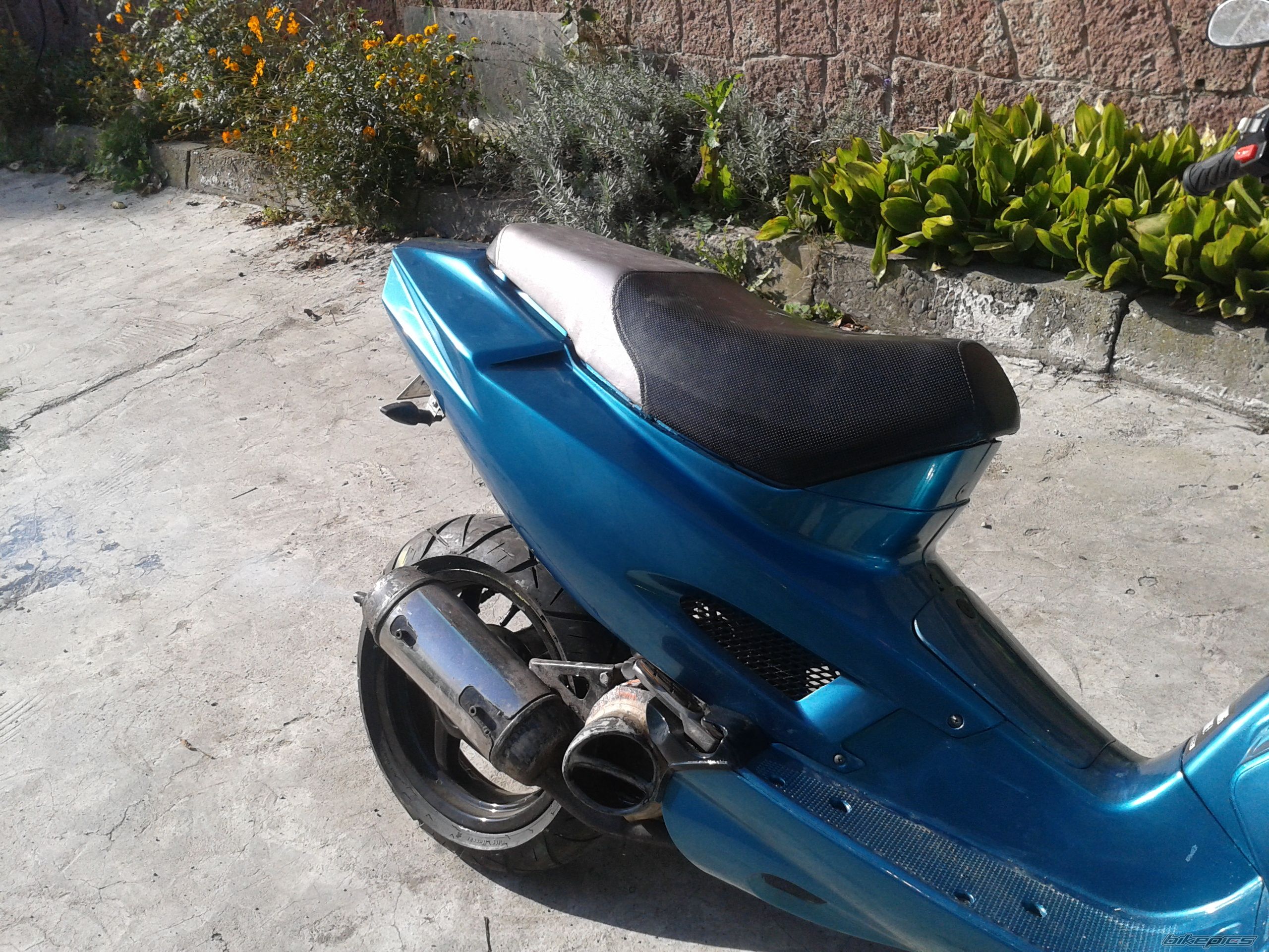 Photo 2458395