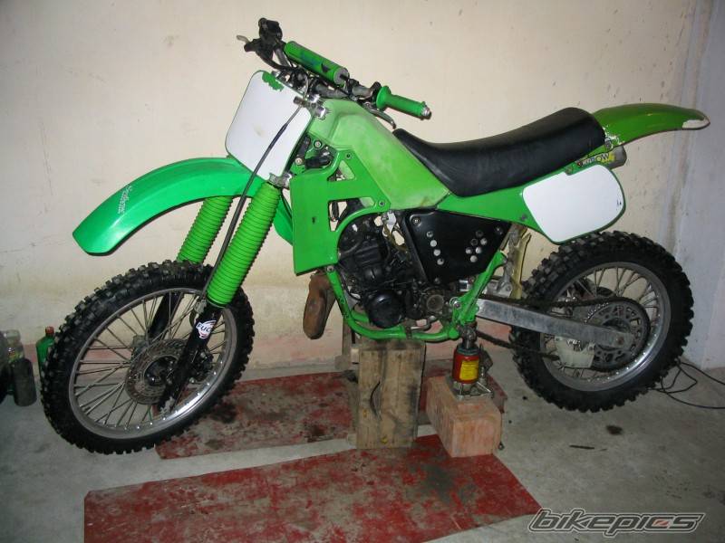 Photo 245849