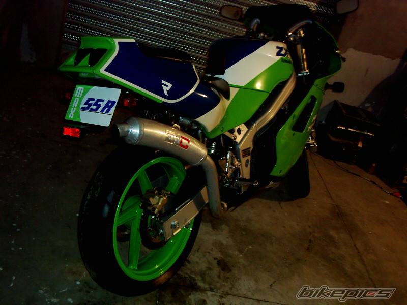 Photo 245852