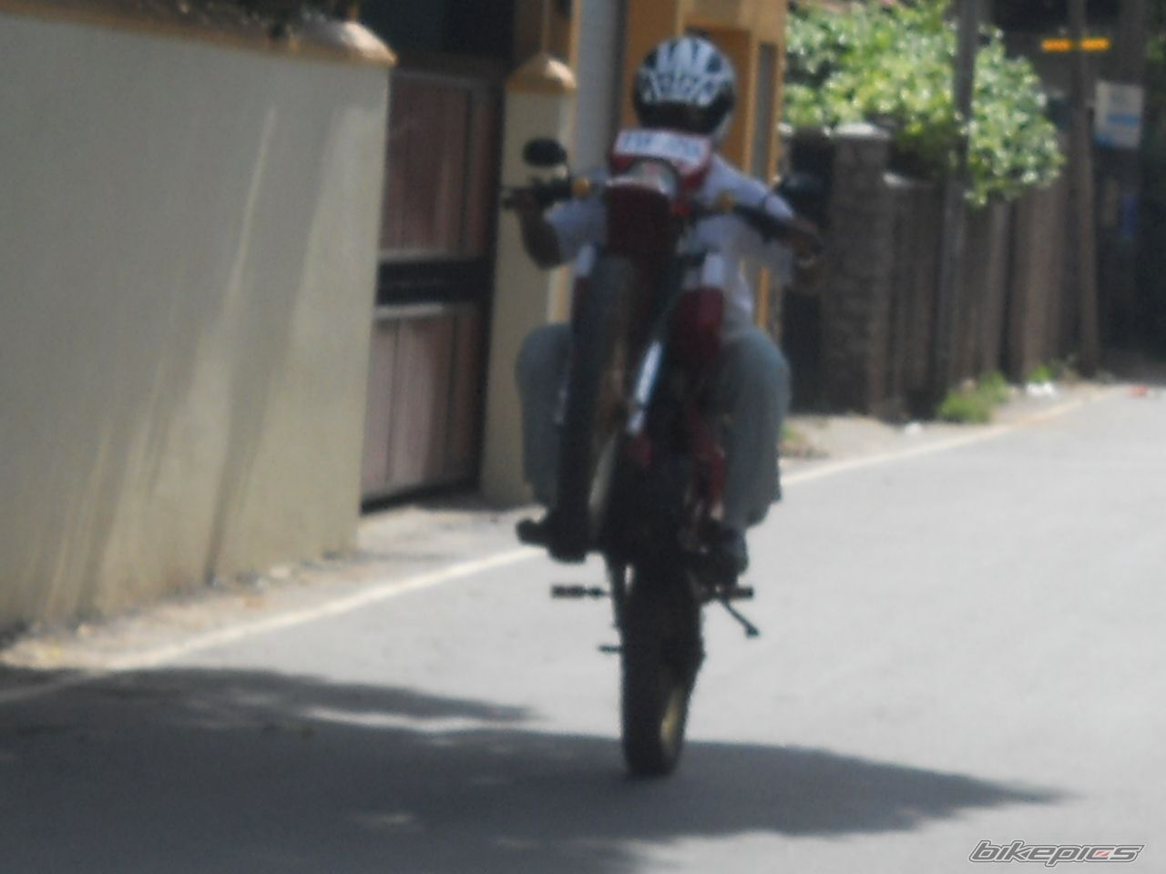 Photo 2458537