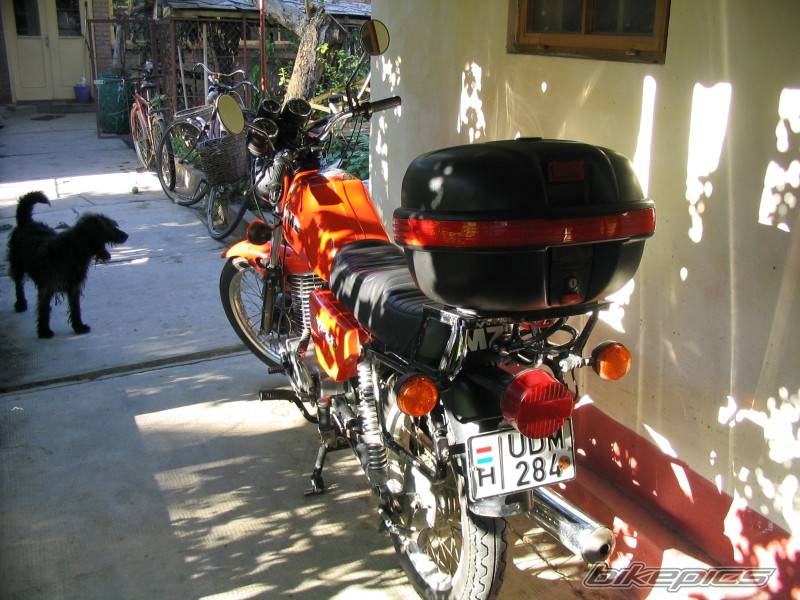 Photo 245857