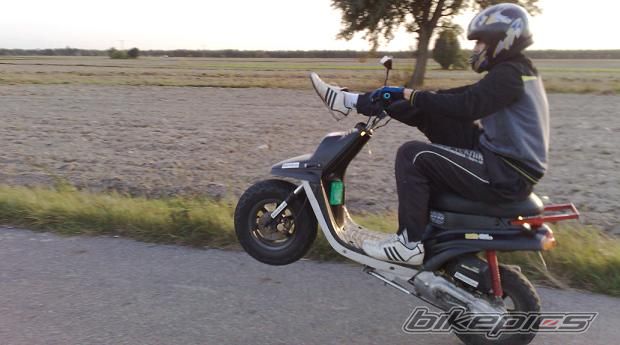 Photo 2458623