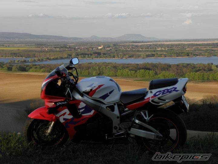 Photo 2458658