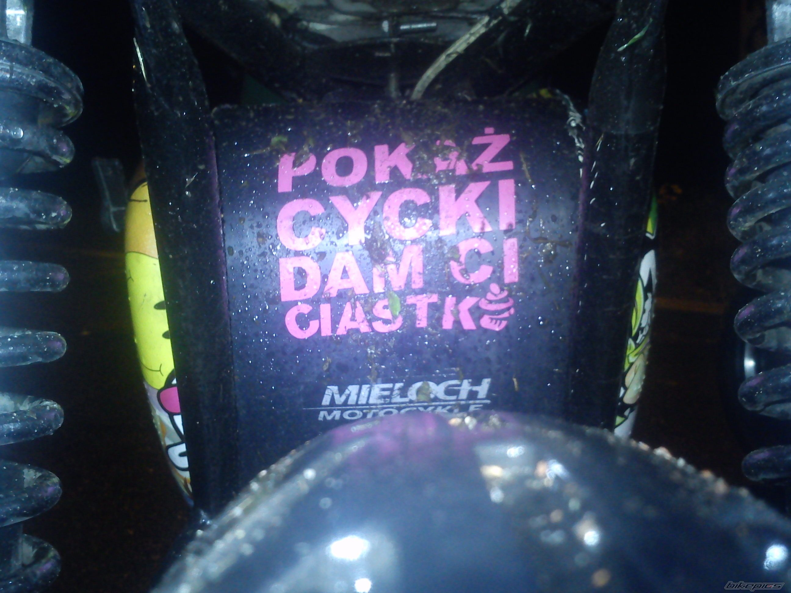 Photo 2458699