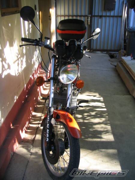 Photo 245872