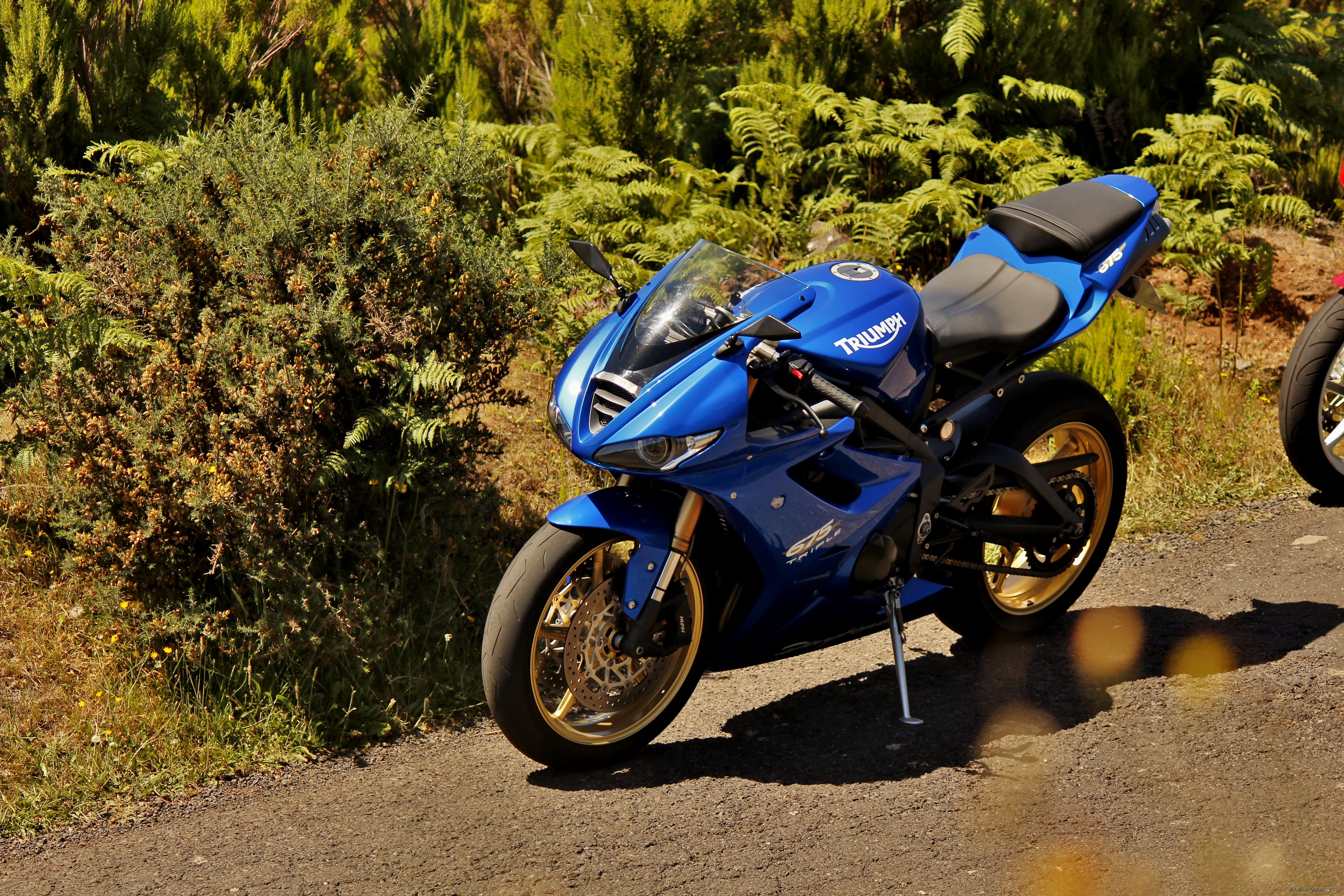 Bike Photo 2458728