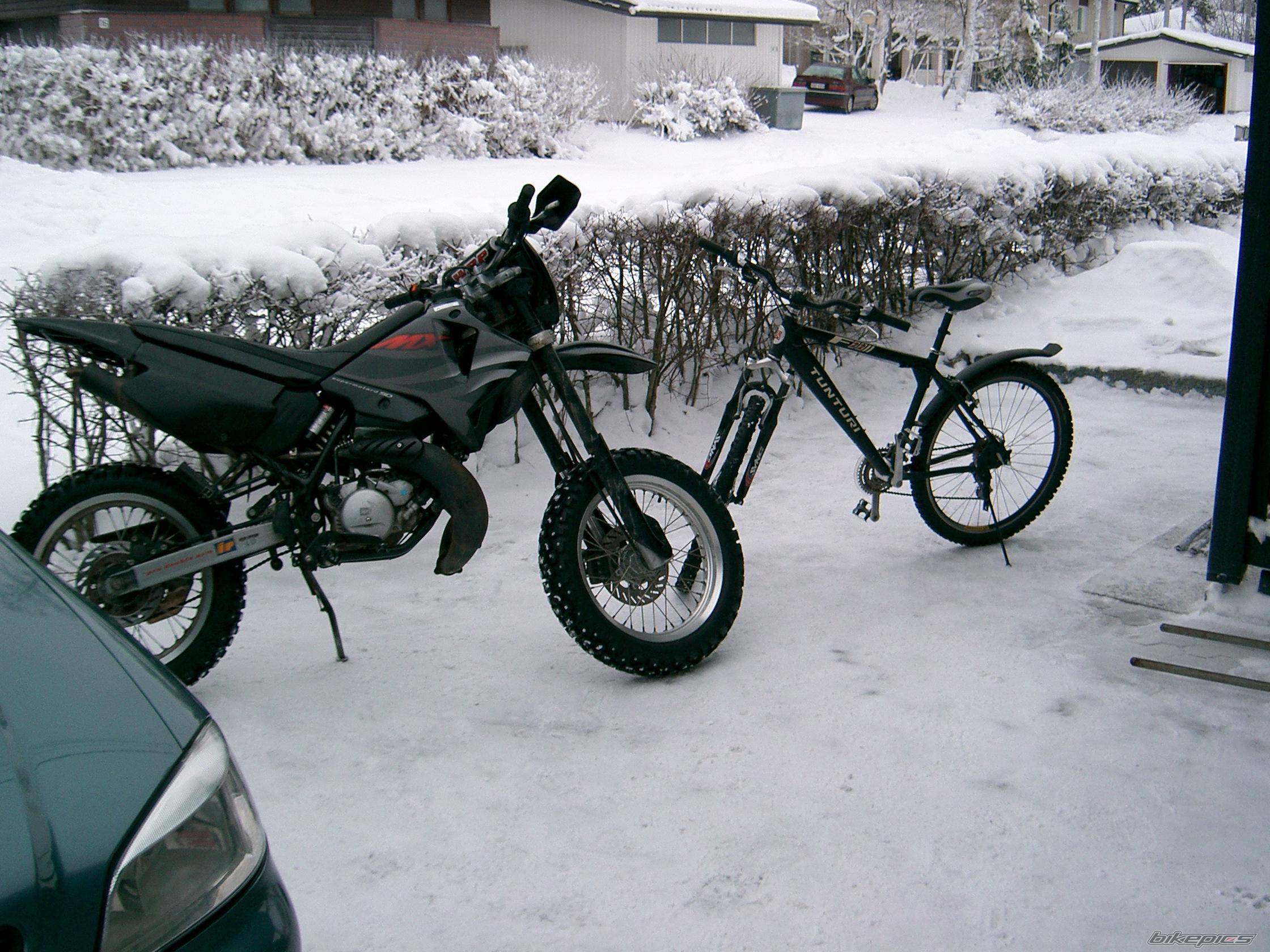 Photo 245874