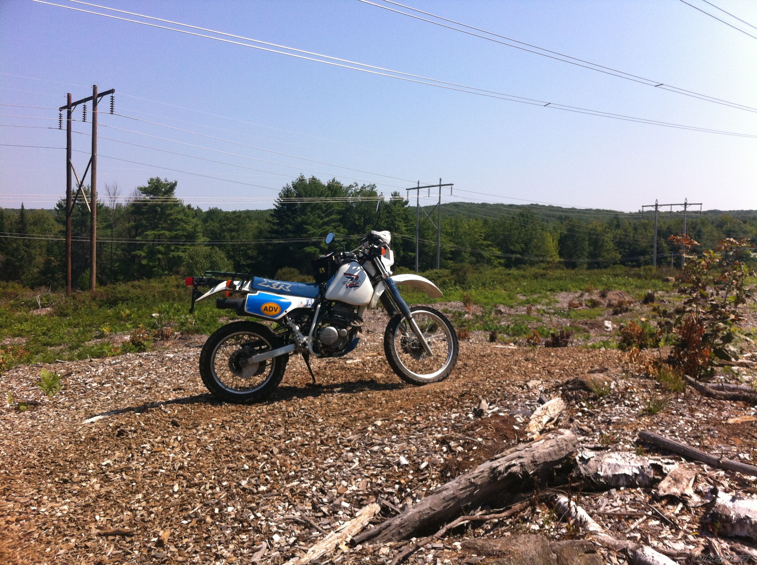 Photo 2458758