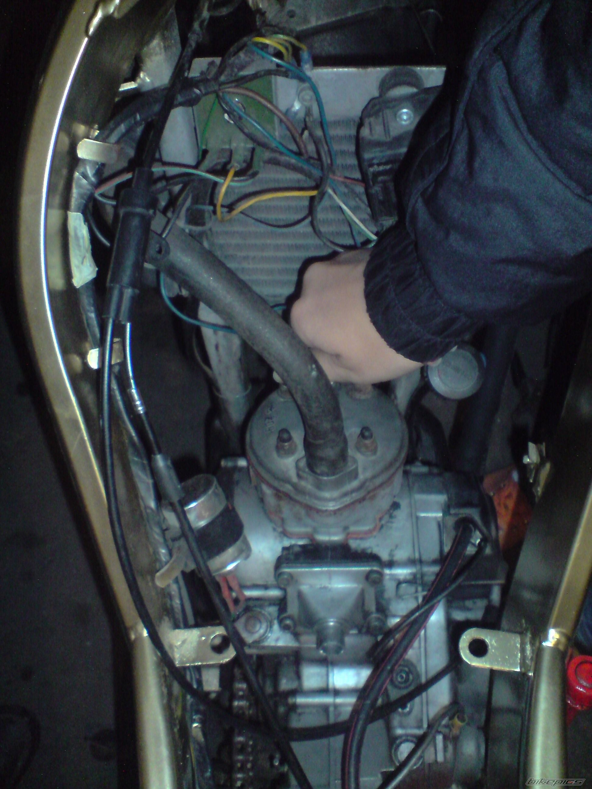 Photo 2458834