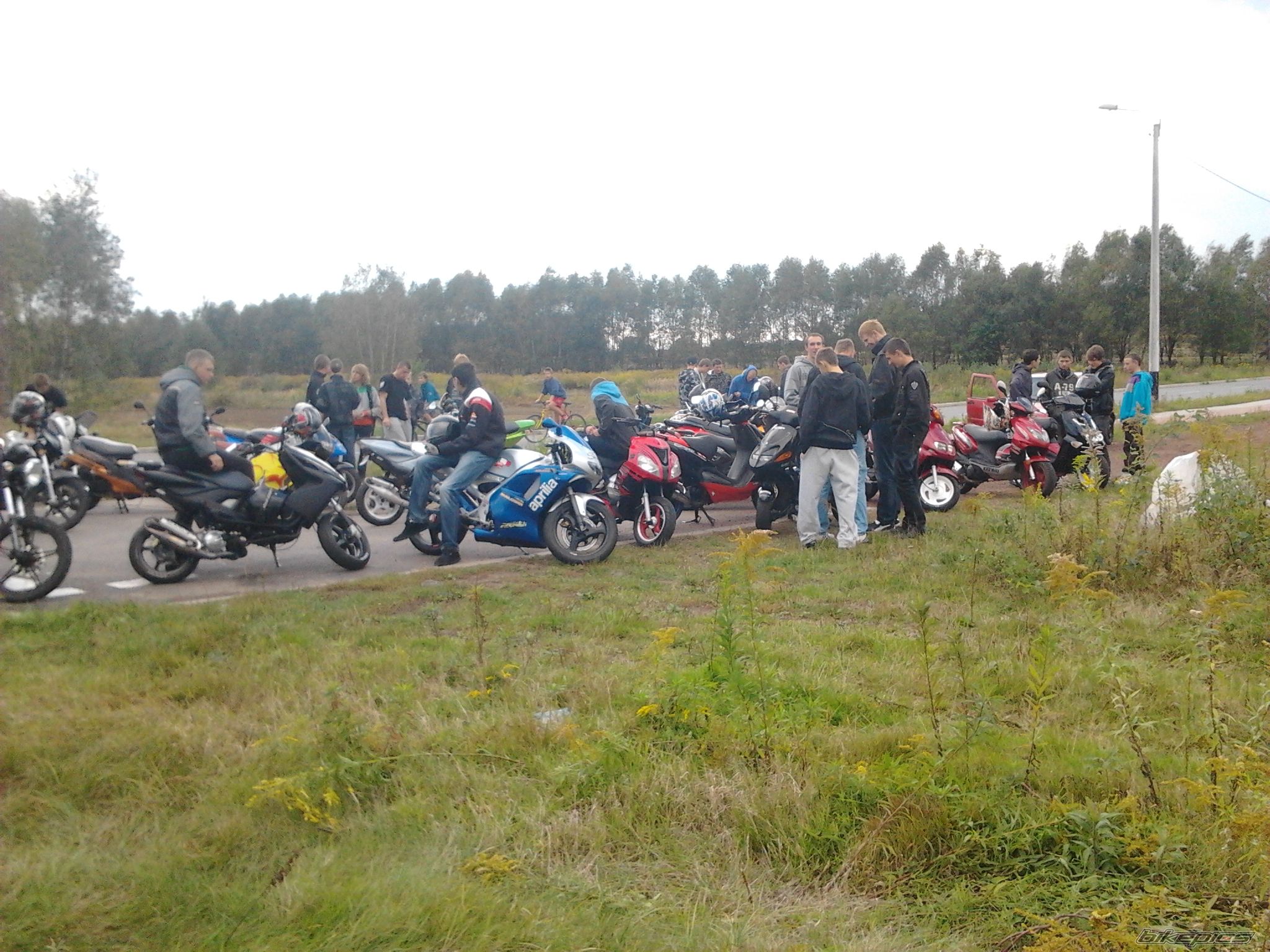 Photo 2458878