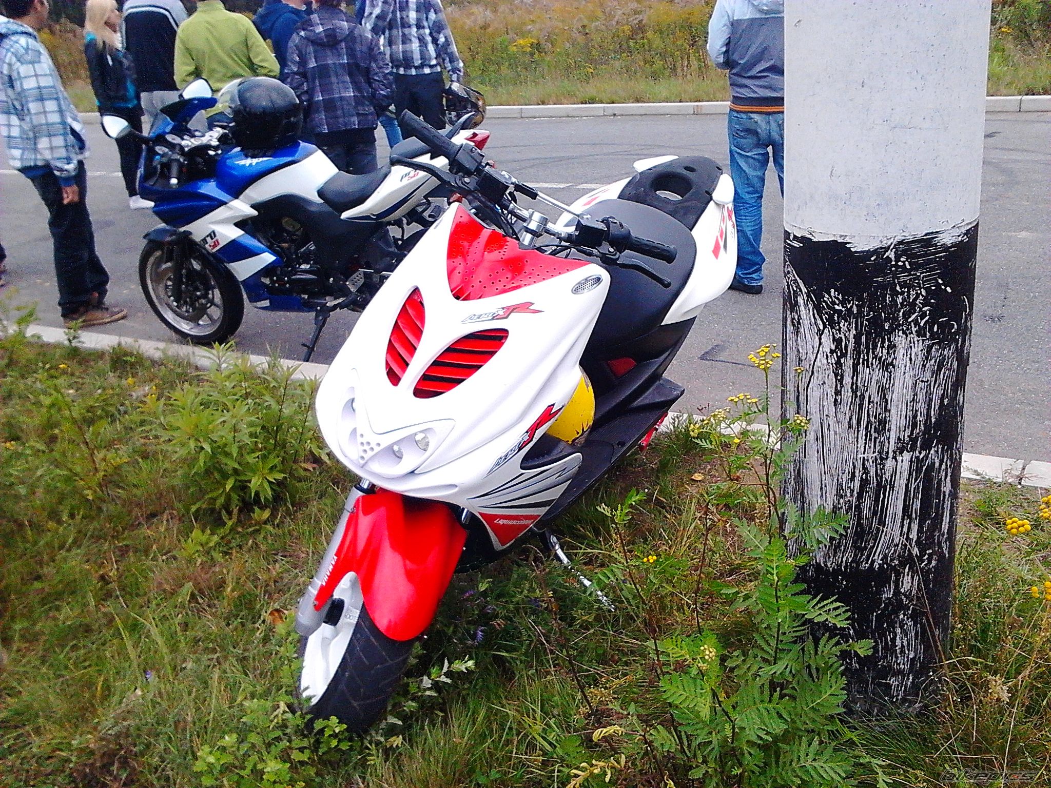Photo 2458880