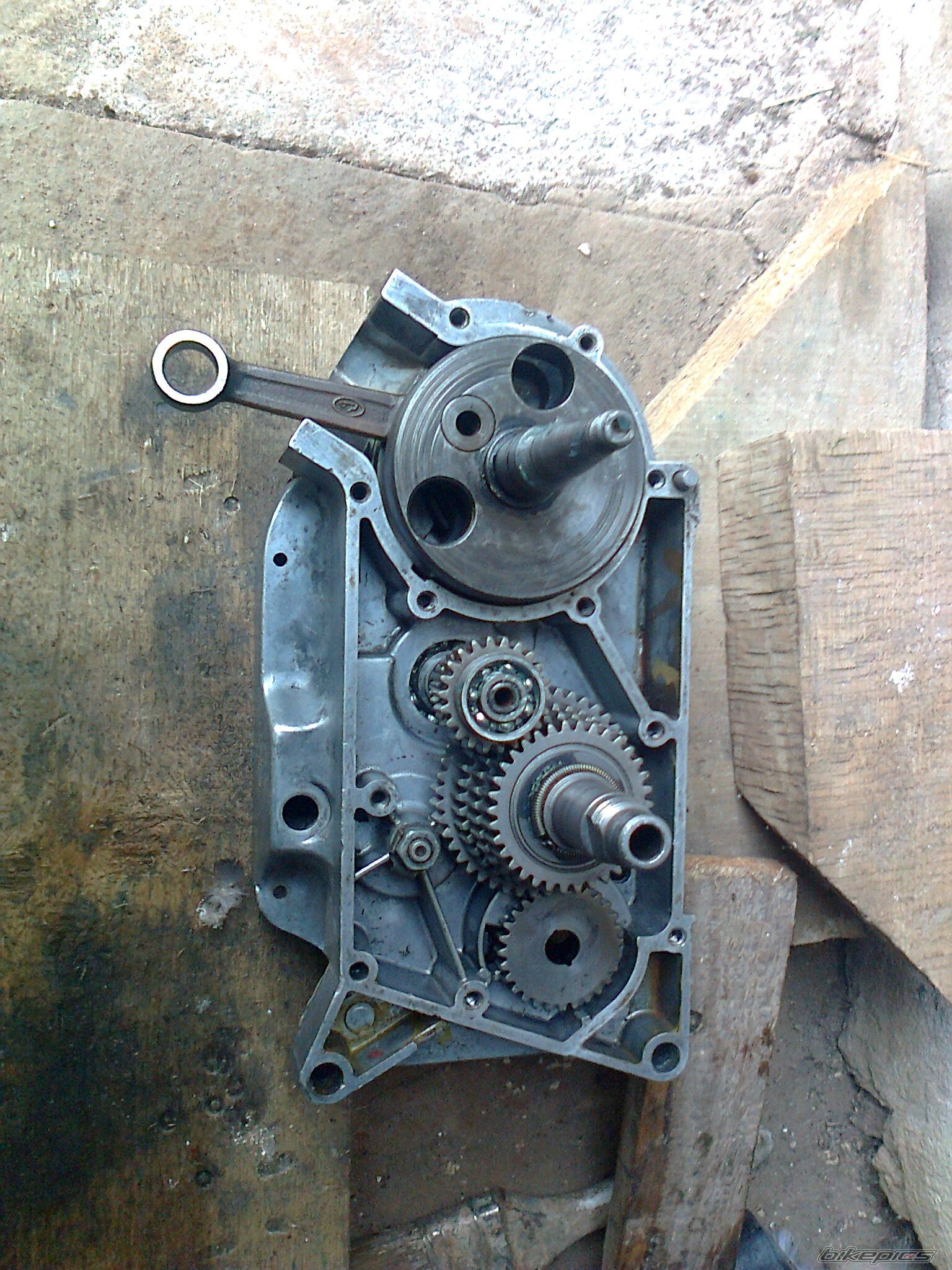 Photo 2458907
