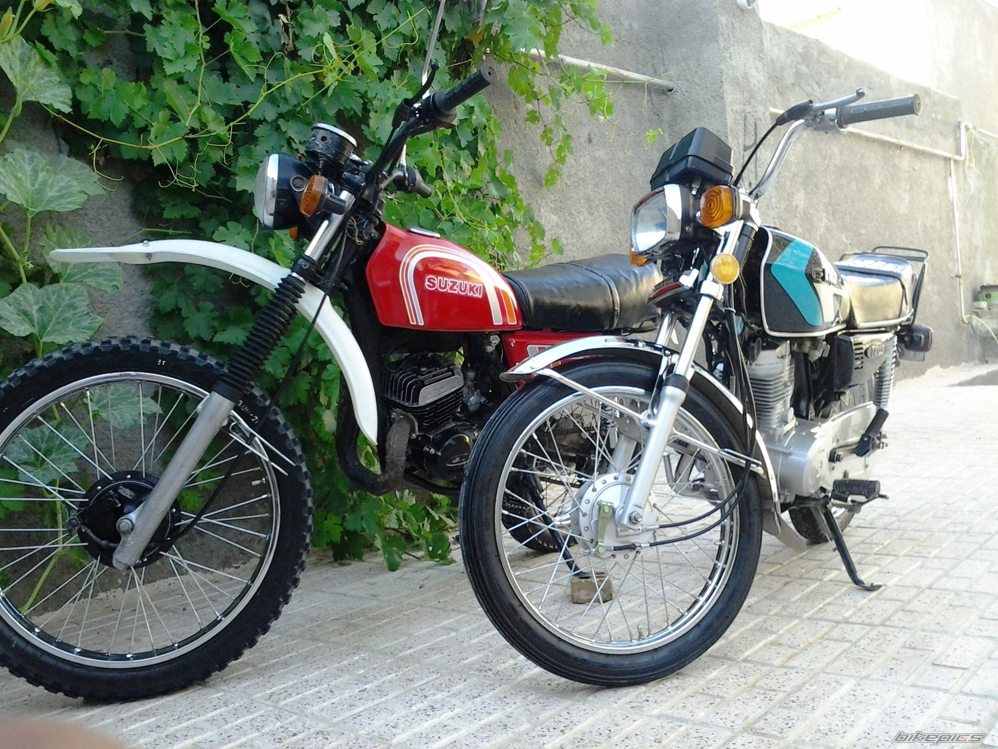 Photo 2458922