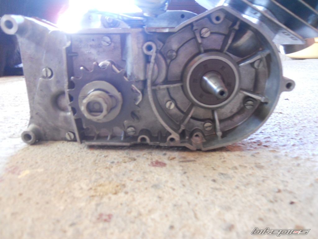 Photo 2458952