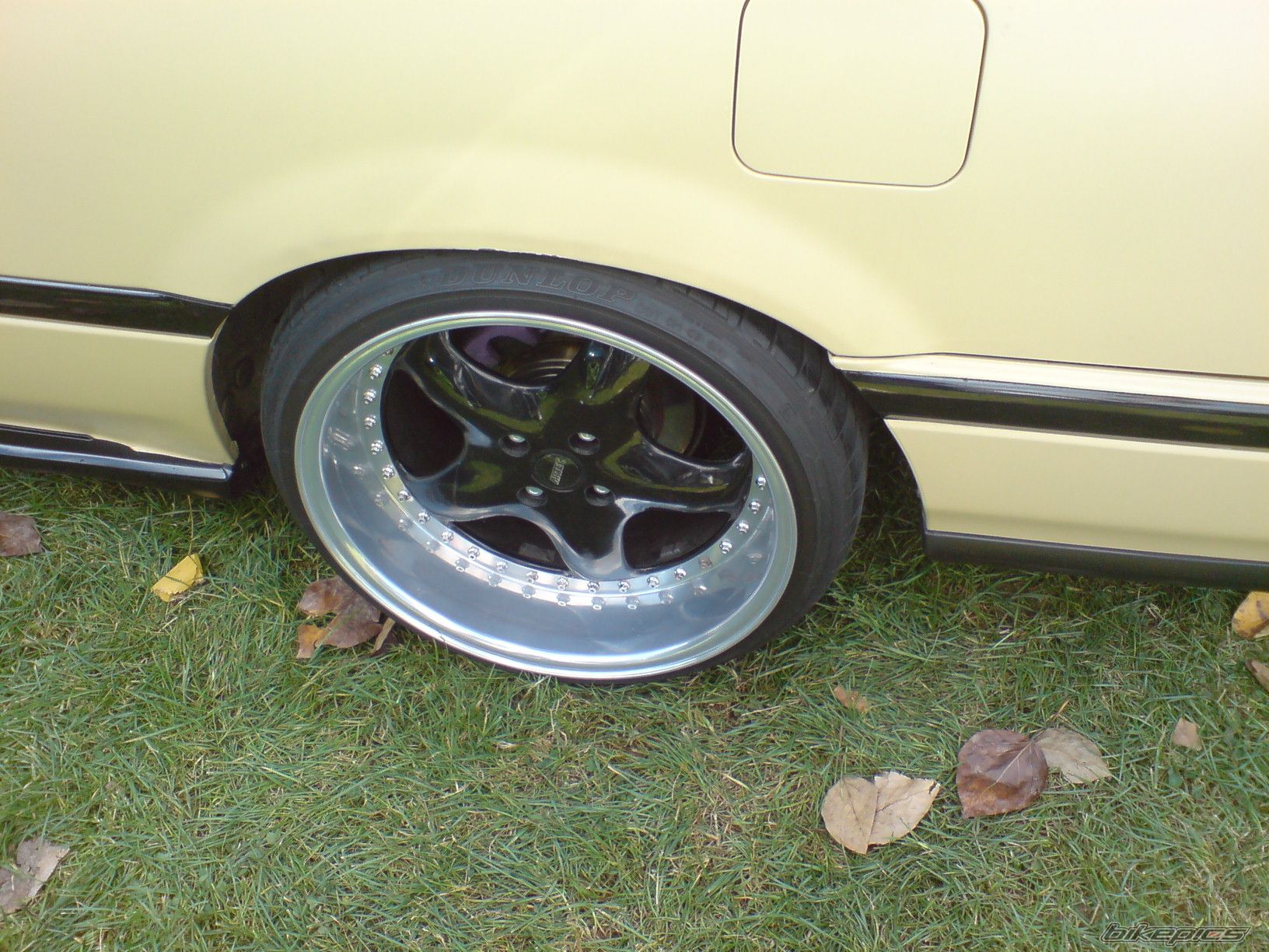 Photo 2459040